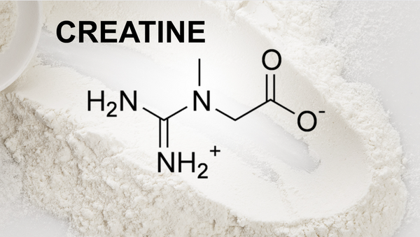 How Creatine Can Help Busy Women Crush Their Fitness Goals